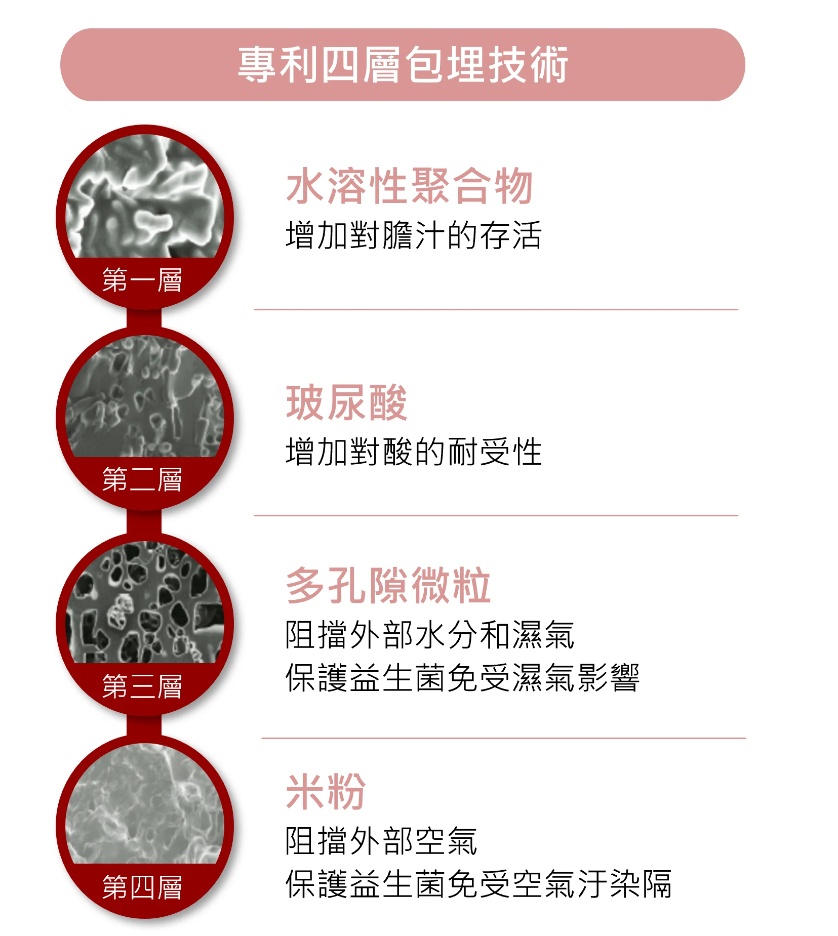 四層包埋