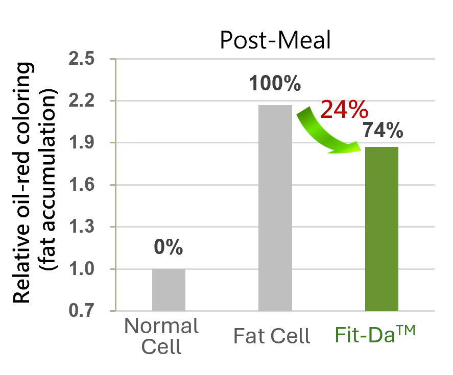 Promote Fat Break Down