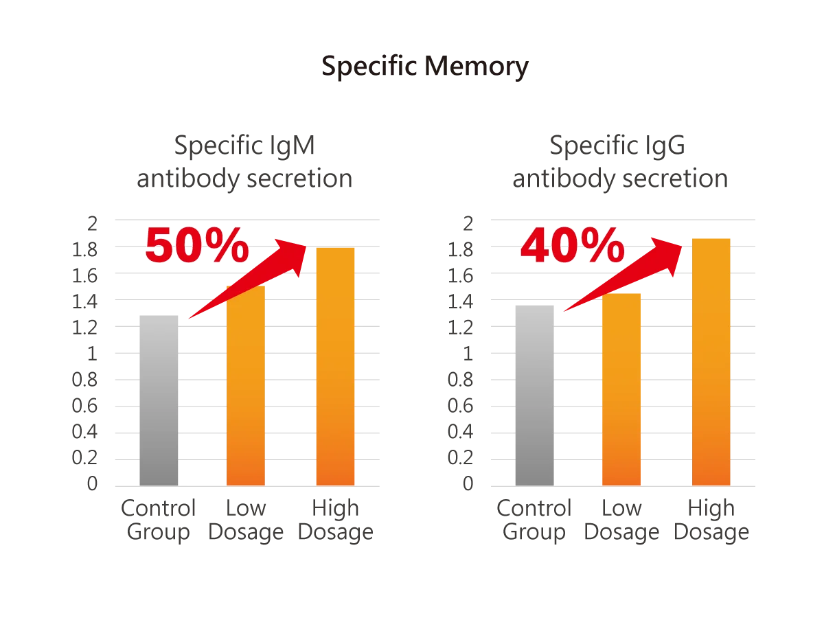 Specific Memory
