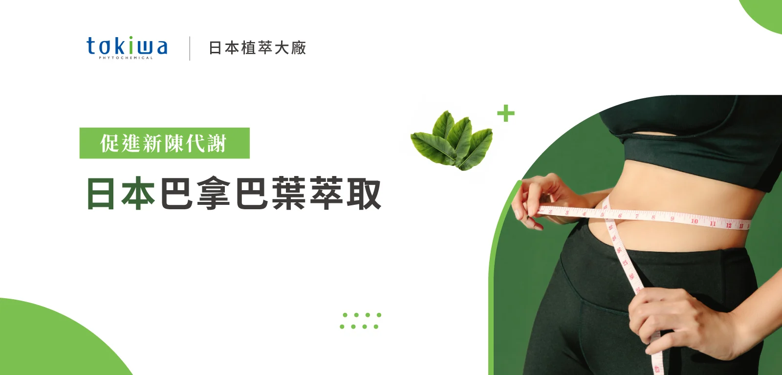 20260323 新增1 巴拿巴葉萃取 Edm 1600x767 工作區域 1