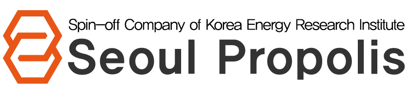 Logo Seoul Propolis
